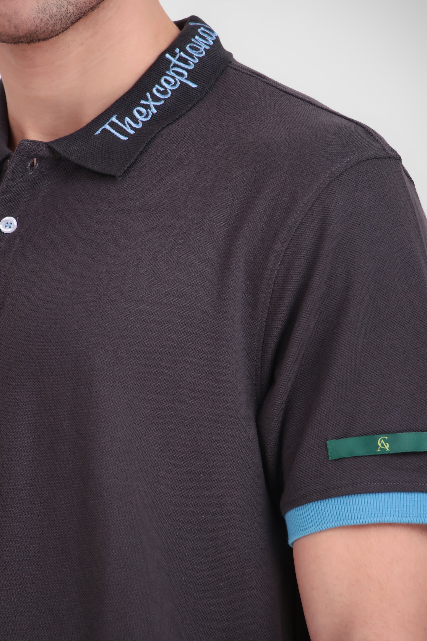 Ash Sky Classic Polo  (Unisex)